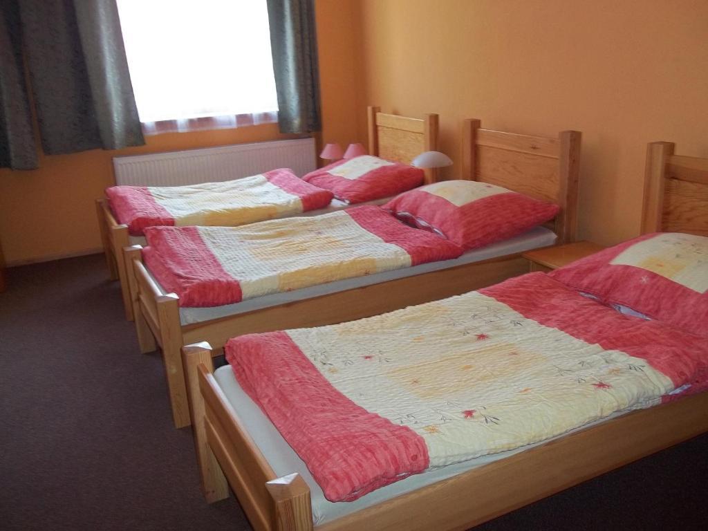 Hotel Marina Hermanuv Mestec エクステリア 写真