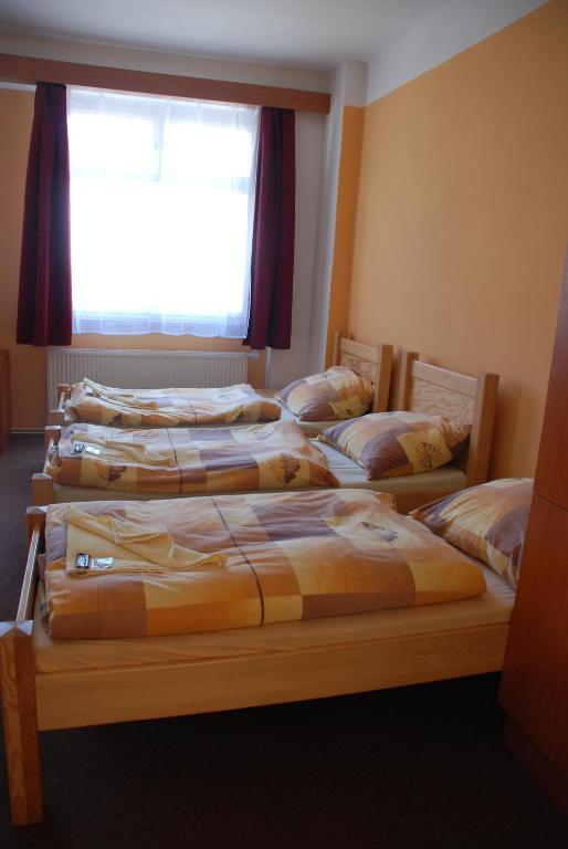 Hotel Marina Hermanuv Mestec 部屋 写真